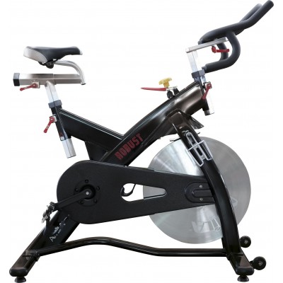 Amila Επαγγελματικό Ποδήλατο Spinning Robust - 43352