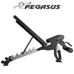 Pegasus OK9101C Ρυθμιζόμενος Επαγγελματικός Πολυπάγκος