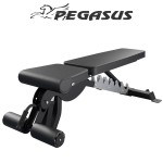 Pegasus OK9101C Ρυθμιζόμενος Επαγγελματικός Πολυπάγκος