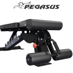 Pegasus OK9101C Ρυθμιζόμενος Επαγγελματικός Πολυπάγκος