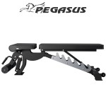 Pegasus OK9101C Ρυθμιζόμενος Επαγγελματικός Πολυπάγκος