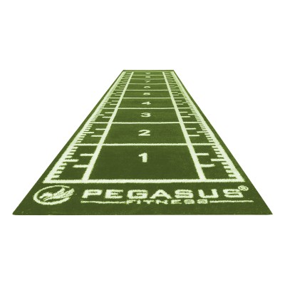 Pegasus Συνθετικός Χλoοτάπητας 2 x 10m 321031590 (πράσινος)