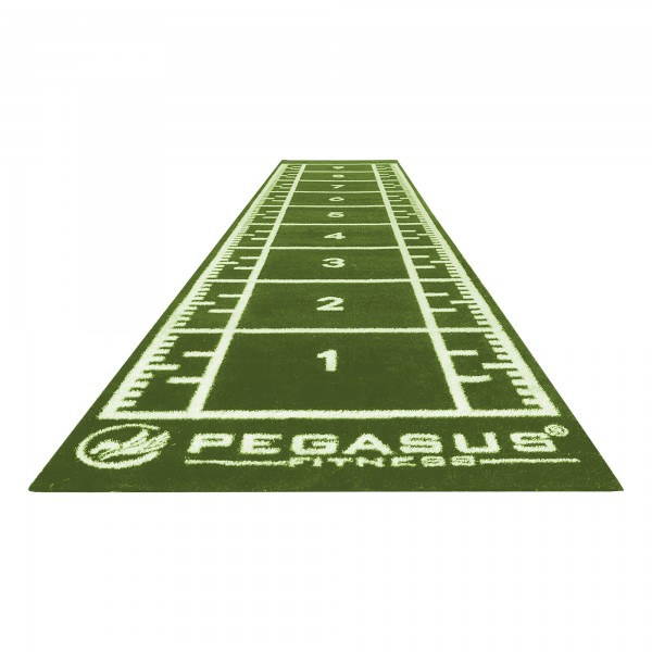 Pegasus Συνθετικός Χλoοτάπητας 2 x 10m 321031590 (πράσινος)