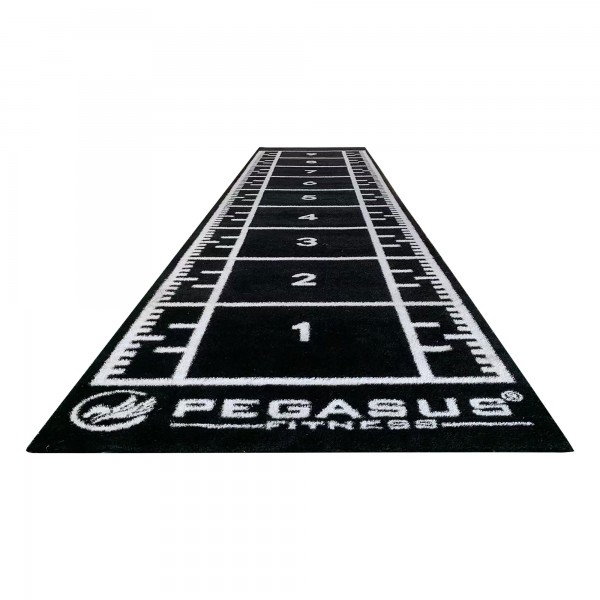 Pegasus Συνθετικός Χλoοτάπητας 2 x 10m 321031591 (μαύρος)
