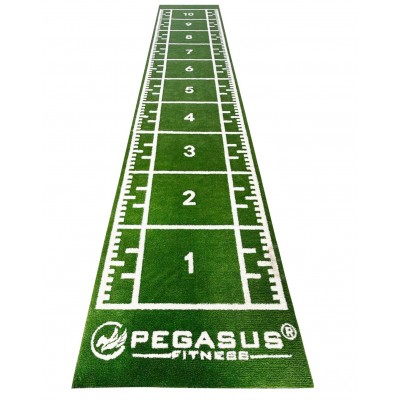 Pegasus Συνθετικός Χλοοτάπητας 2x11m (3159)