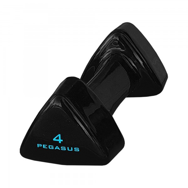 Pegasus Τρίγωνος Αλτήρας Vinyl 4kg PG‑1005