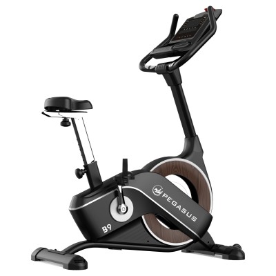 Pegasus Turbo B9 Ημιεπαγγελματικό Ποδήλατο Γυμναστικής