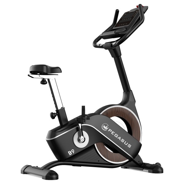 Pegasus Turbo B9 Ημιεπαγγελματικό Ποδήλατο Γυμναστικής