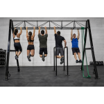 Power Force Pro Series Επαγγελματικό Crossfit Tower 2m (4 Θέσεις Μονόζυγου)